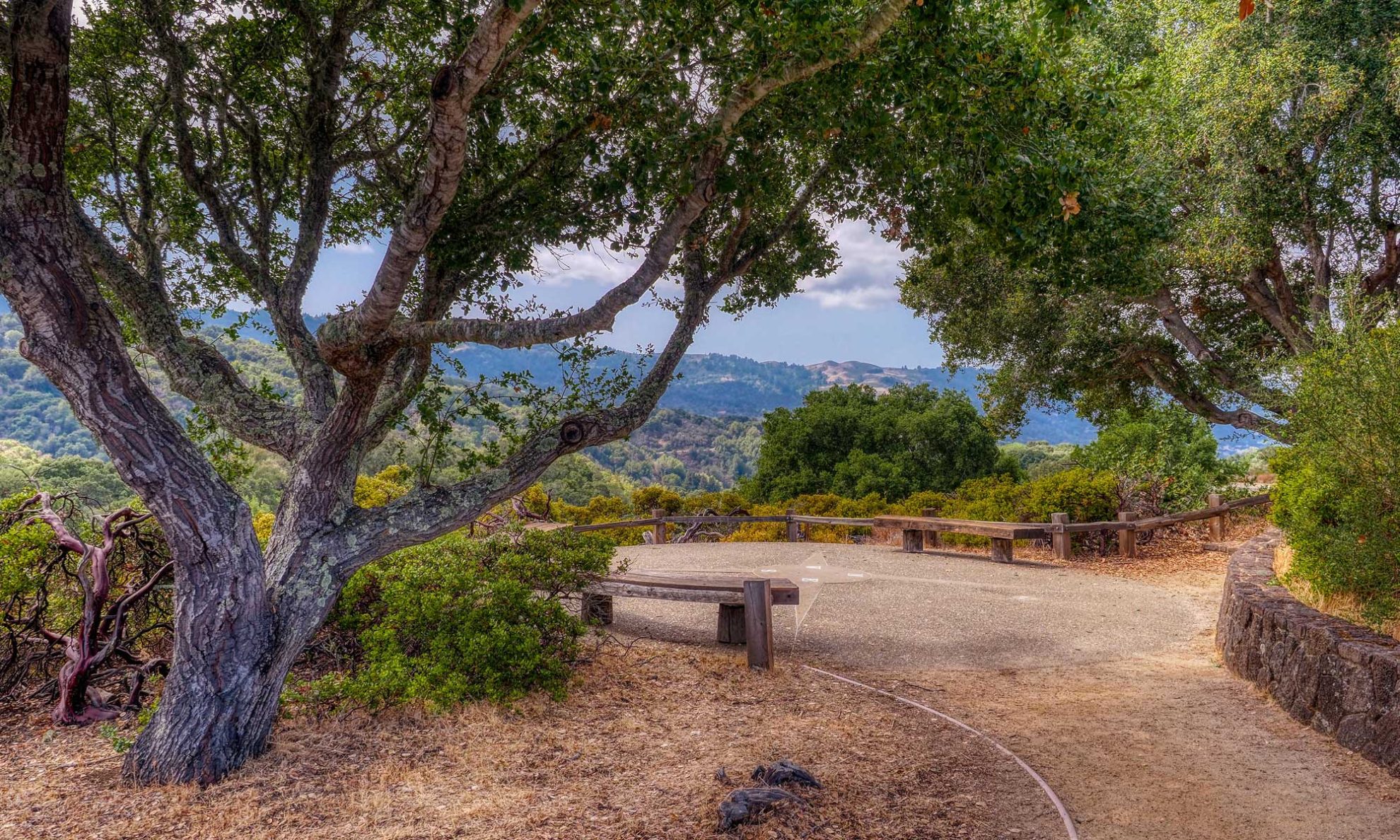 The Wildflowers of Foothills Nature Preserve - The Friends of Foothills ...
