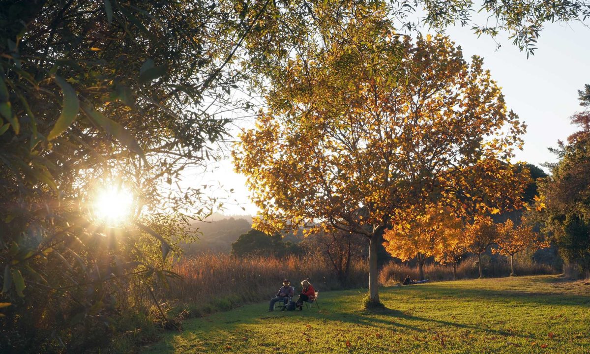 Sunset at Foothills Nature Preserve, alongside Boronda Lake